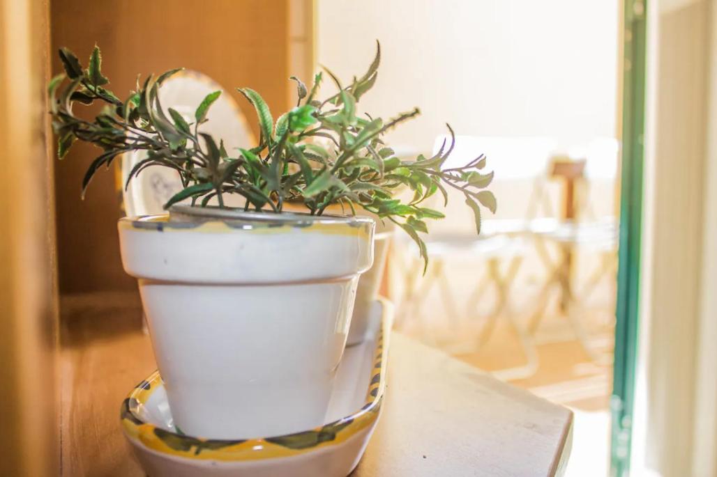 Blife Olaya Private Rooms 오양 외부 사진